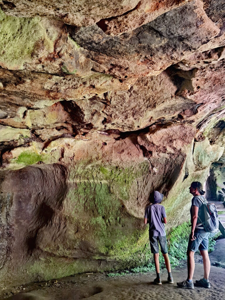 Das sehenswerte Werk der Erosion in der Schwarzachklamm